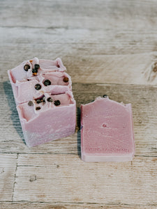 Bleuet sucré fraîchement cueilli